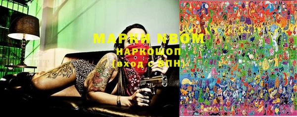 apvp Мегион